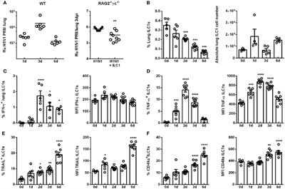 Influenza-Activated ILC1s Contribute to Antiviral Immunity Partially Influenced by Differential GITR Expression